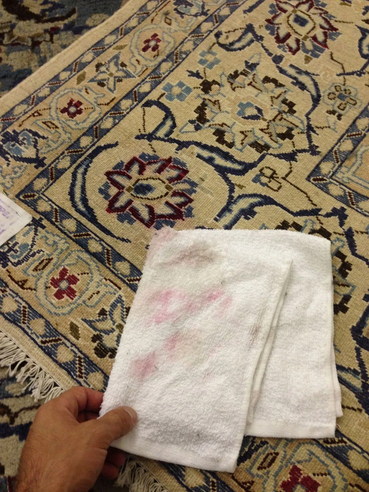 Colorfastness towel test checking a rug's dyes for bleeding before washing